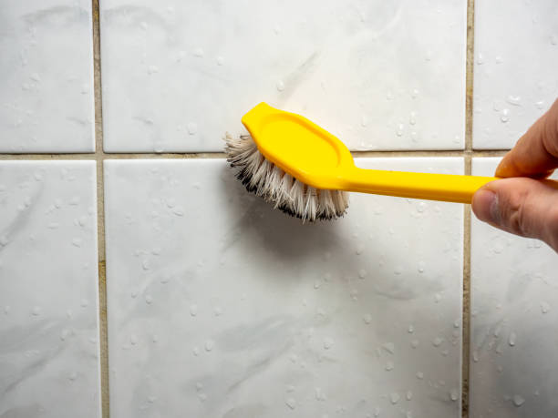  El Dorado, AR Mold Removal Pros
